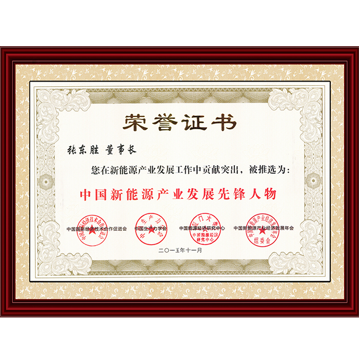 2015中國新能源產業(yè)發(fā)展先鋒人物